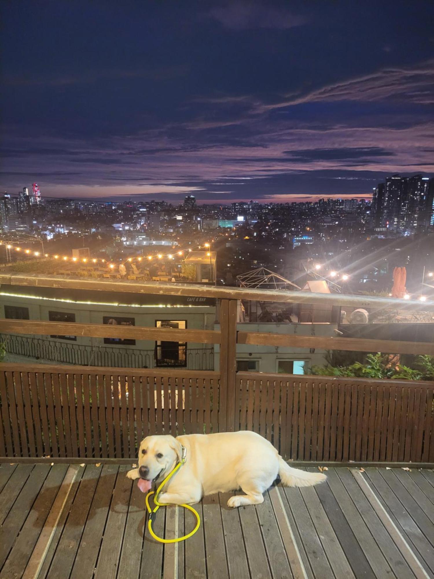Newly Renovated 2 Bedroom Apartment #7 Seoul Exterior photo